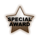 SPECIAL AWARD